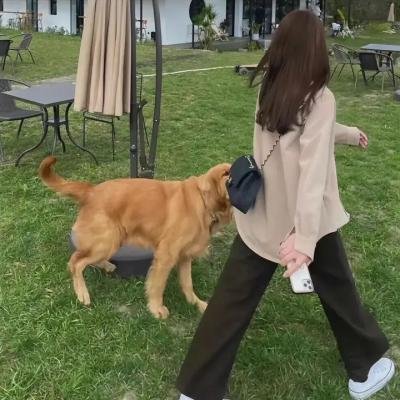 都会交响曲